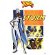 Tableau X-Men 97 Storm 35 x 50cm