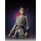 REY STAR WARS VII MINI BUST - GENTLE GIANT